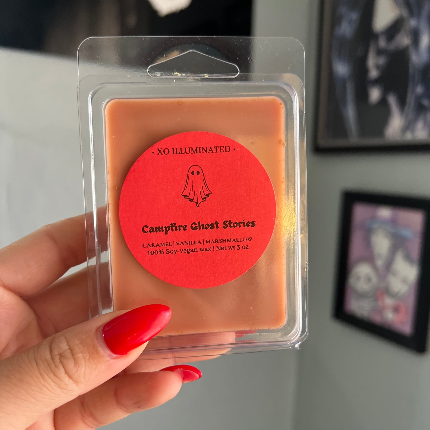 Spooktacular Campfire Ghost Stories Wax Melts