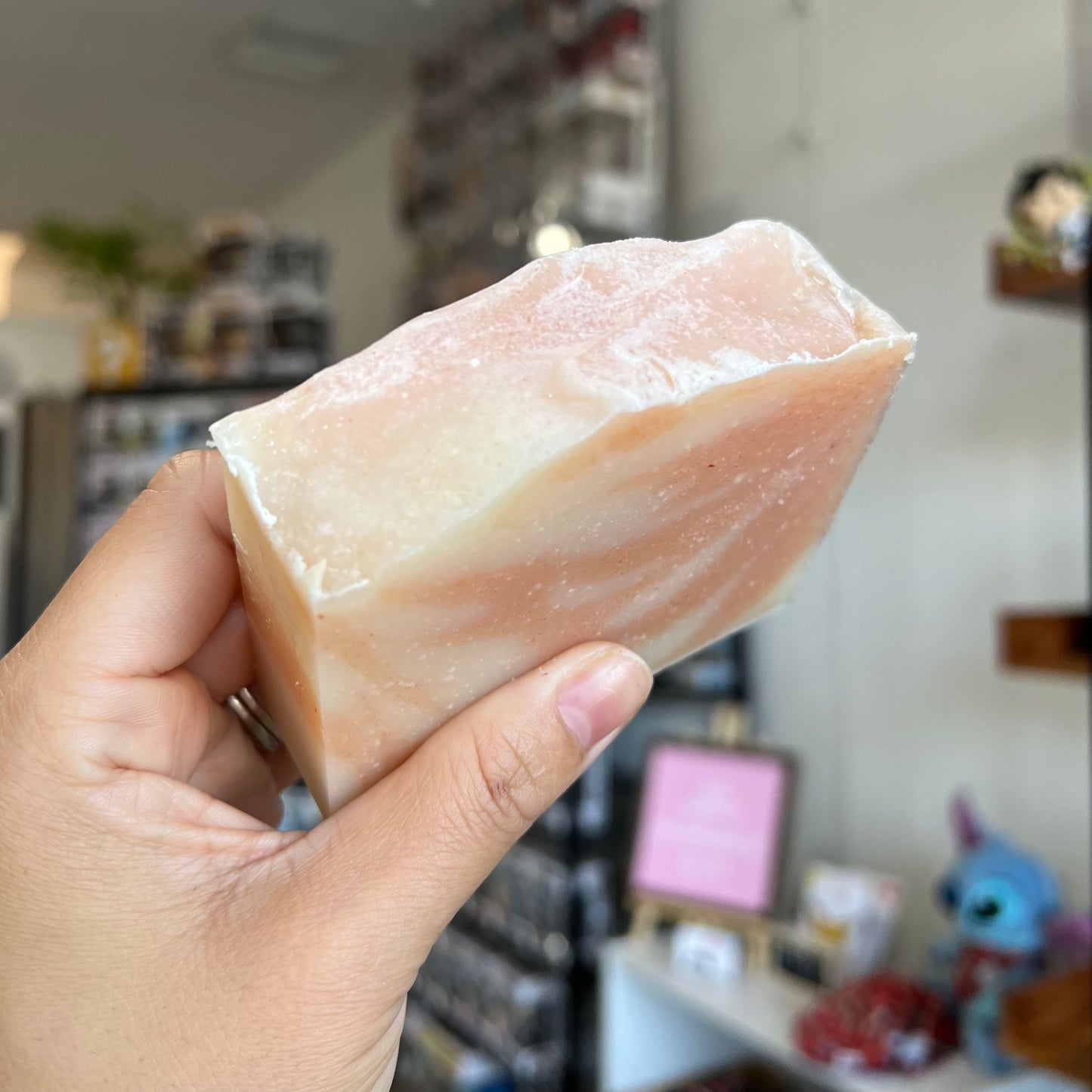 Circle of Life Lion King Soap