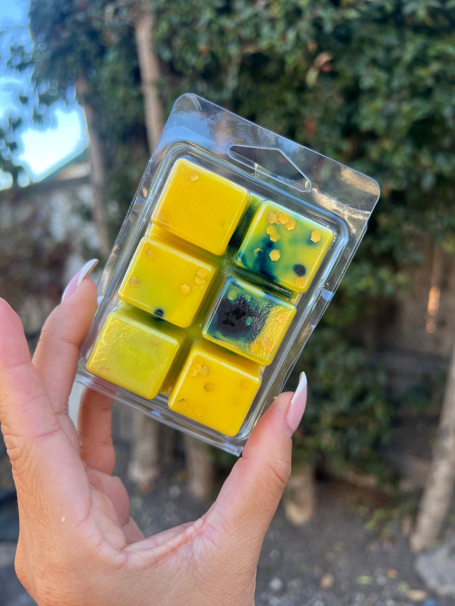 Spooktacular The Other World Wax Melts