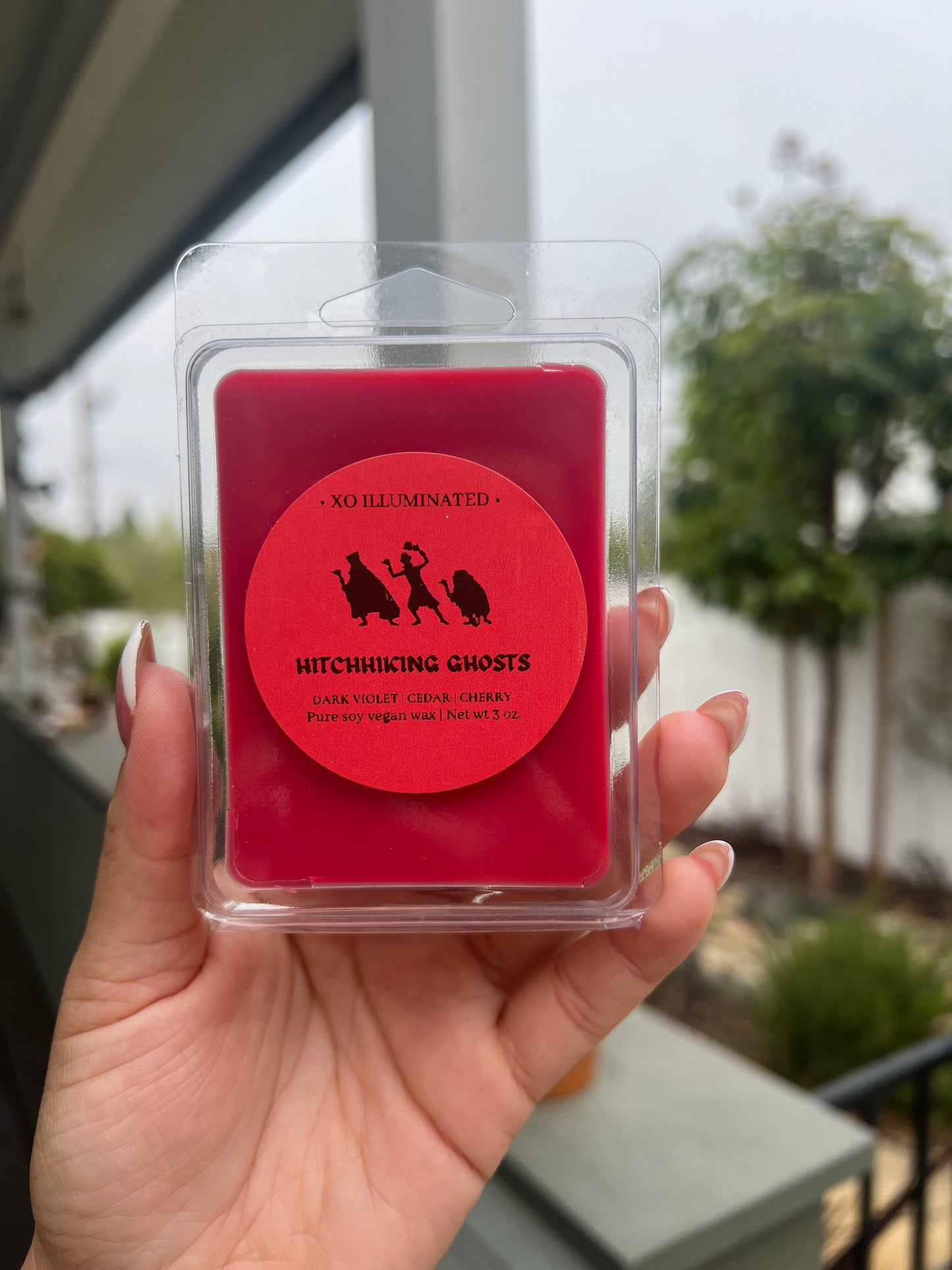 Spooktacular Hitchhiking Ghosts Wax Melts