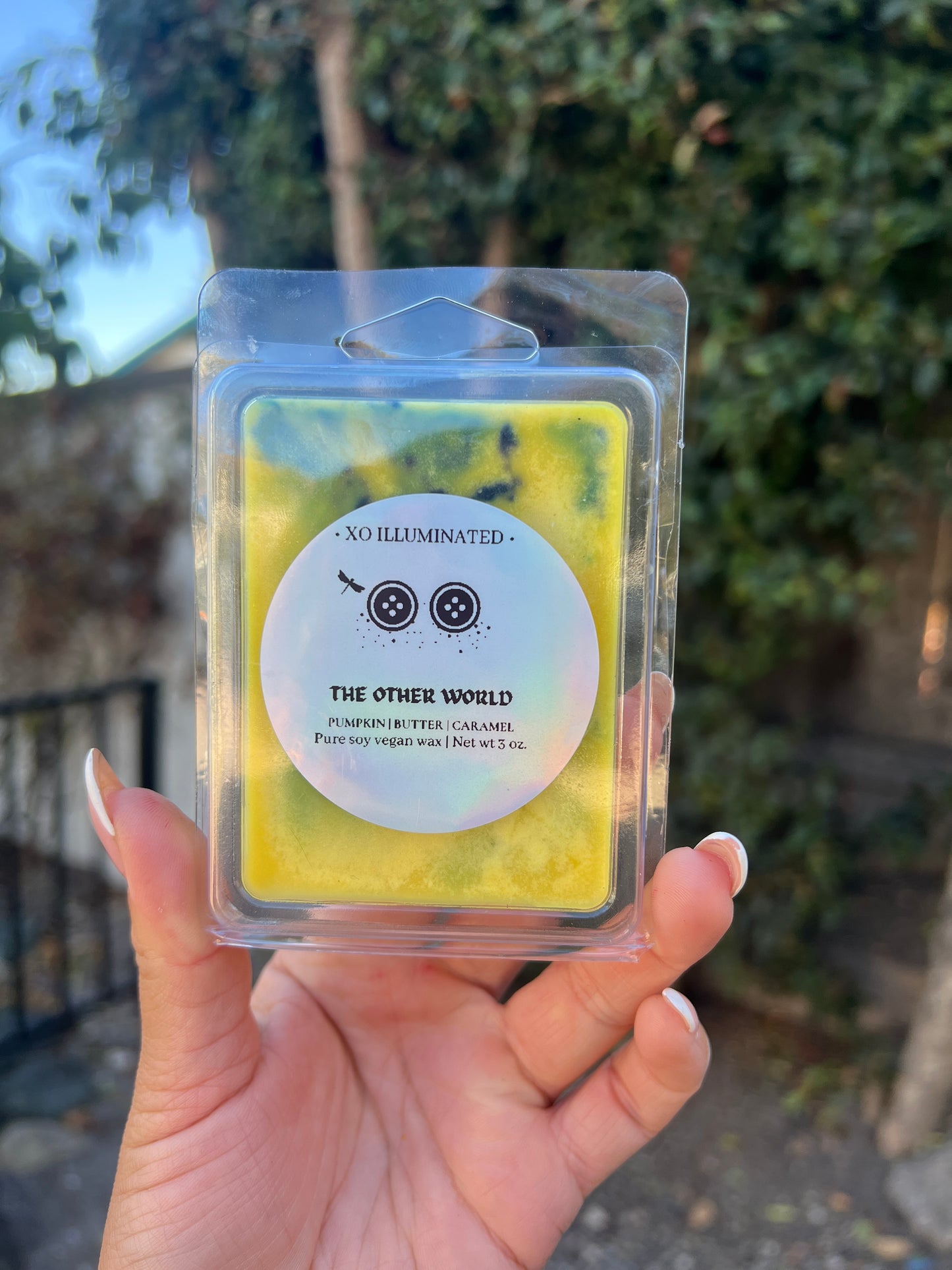 Spooktacular The Other World Wax Melts