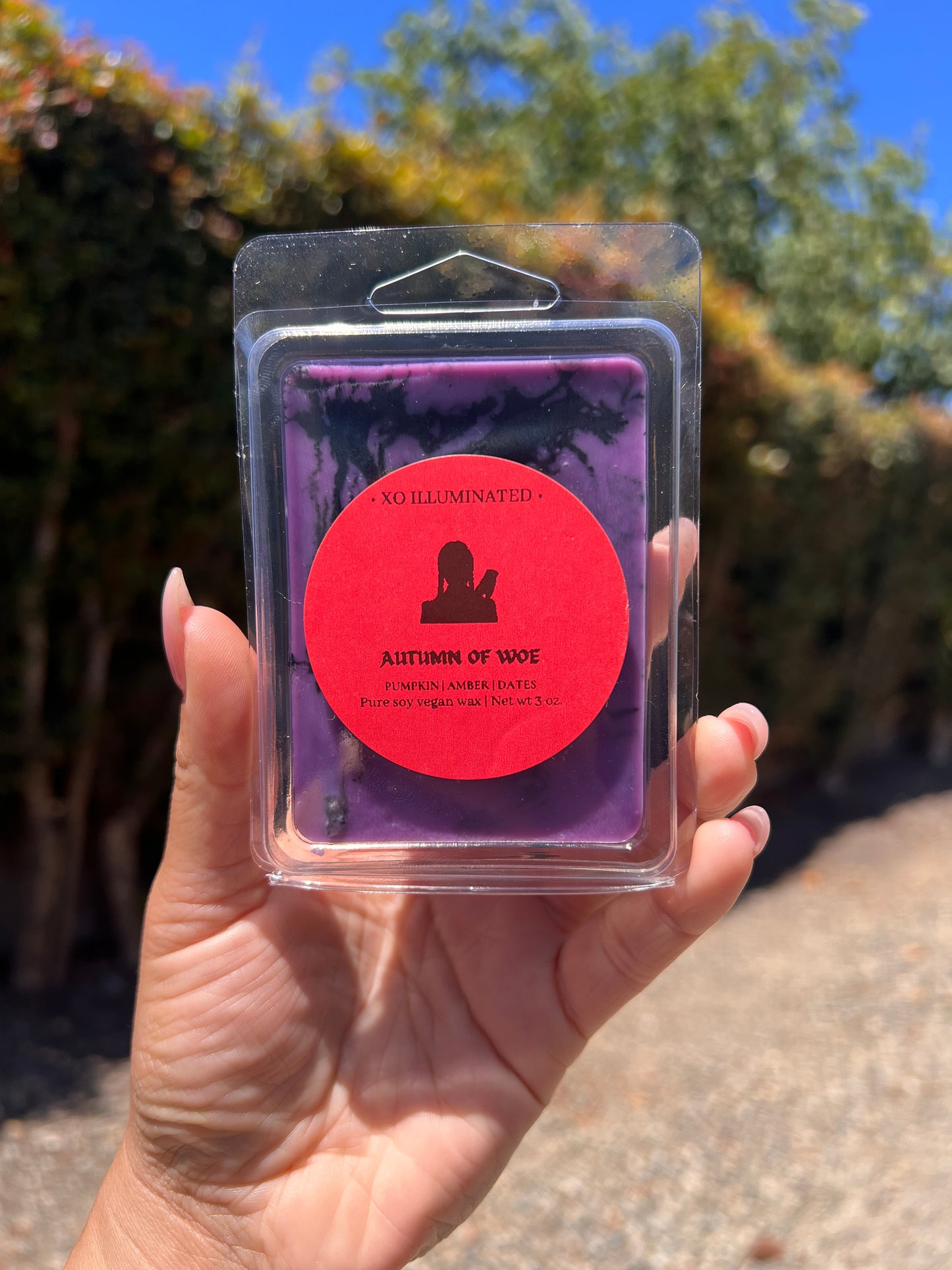 Spooktacular Autumn of Woe Wax Melts