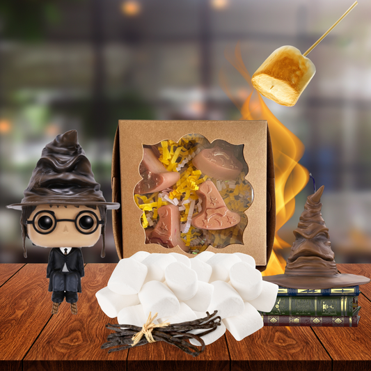 But Where to Put You? Sorting Hat Wax Melts - XO Illuminated 